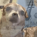 TantalicBongo18